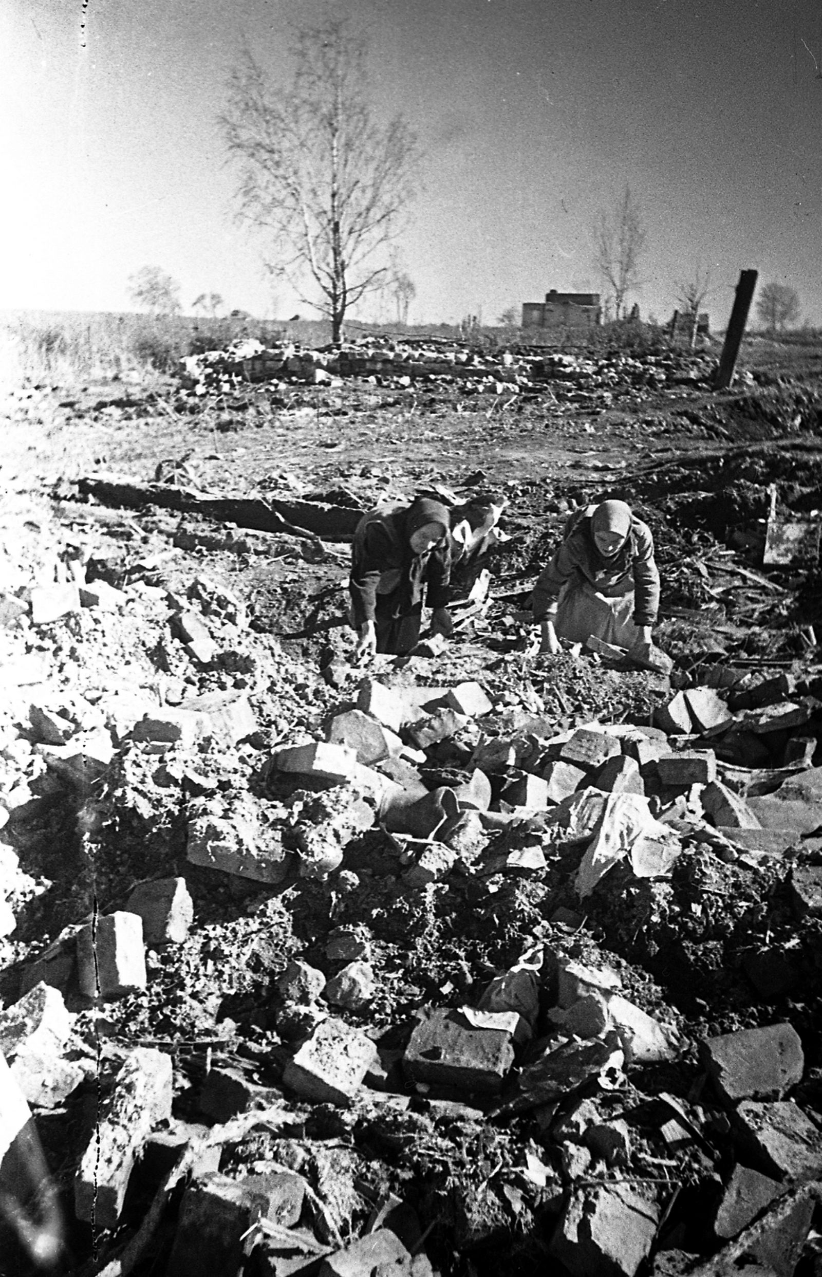 Ржевско -вяземская операция 1942-1943. Ржев 1942 битва. Битва под ржевом 1942-1943. Ржев великие. Ржевская битва вов 1941-1945.