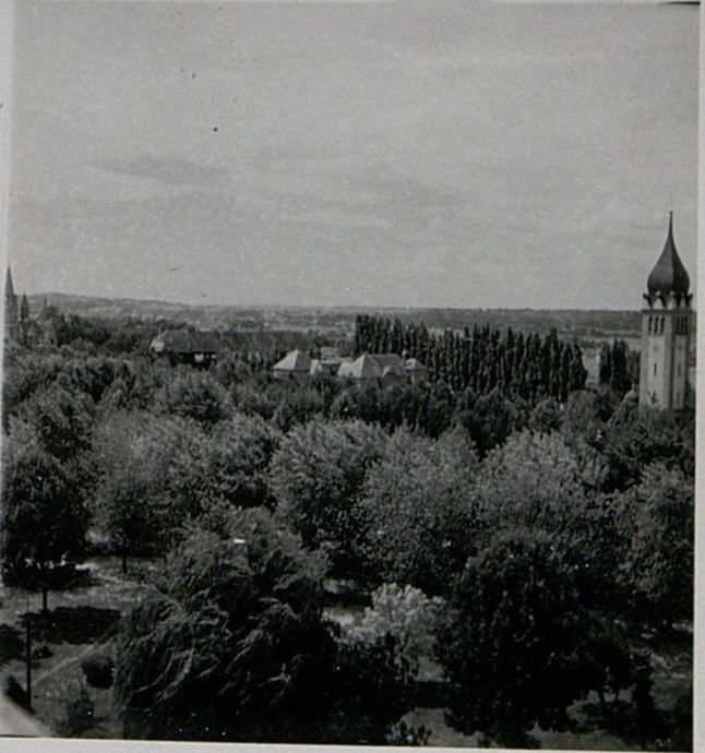 Фотография: Митинг