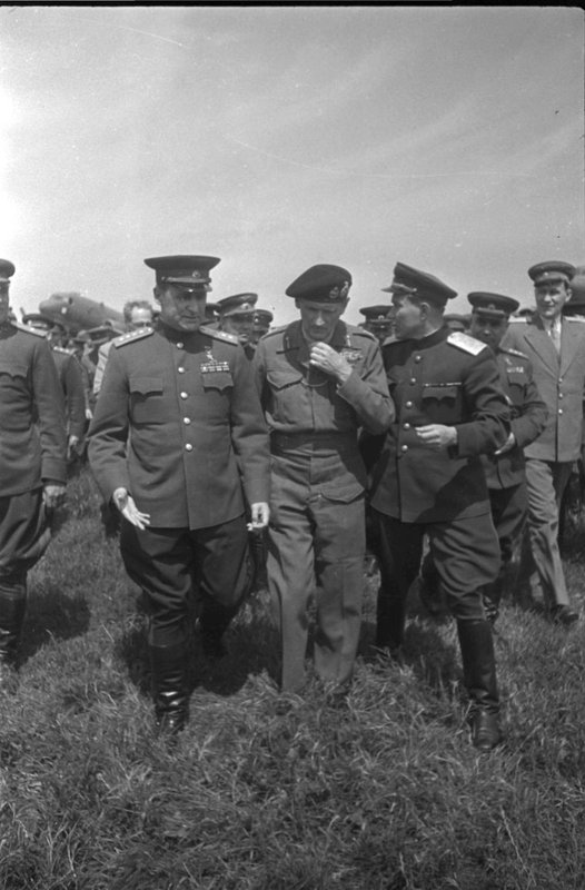 Без названия