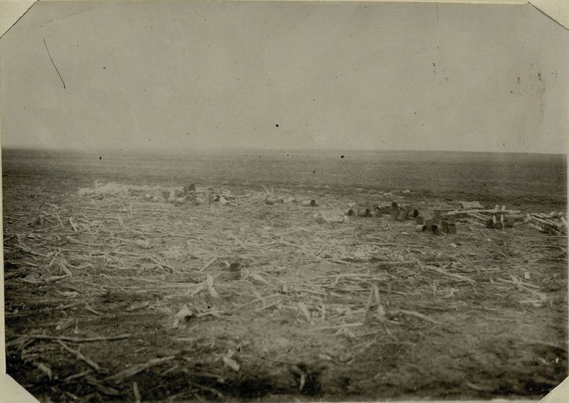 Фотография: Цель № 613 засечена БЗР-2