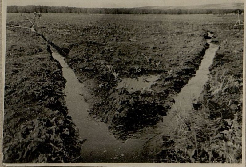 Image: Carrying out works on the subsidiary farm