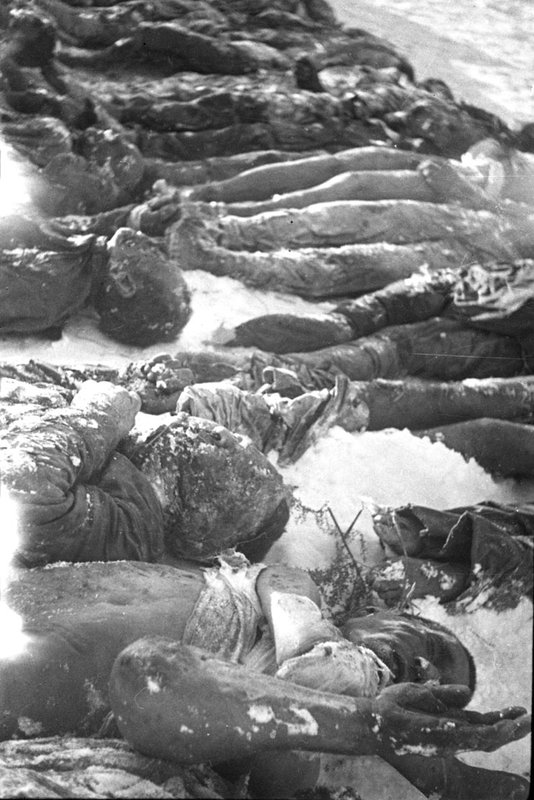 Soviet POWs killed by the Nazis (Stalingrad)