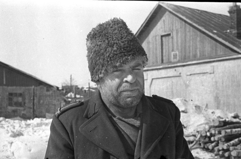Без названия