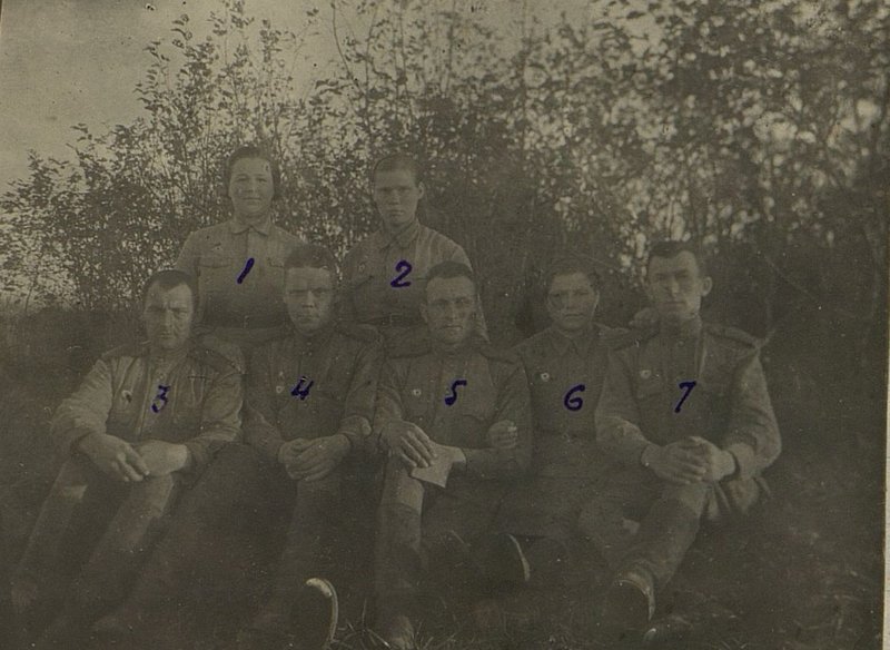 Фотография: Хозяйственное отделение 1. Михайлова Ф. - прачка 2. Илларионова - прачка 3. гвардии Красноармеец. Тонкоглас - сапож. 4. гвардии старший Сержант Глухов к/отд. 5. гвардии ефрейтор  Митрохин - сапожн. 6. гвардии Красноармеец Никитенкова - прачка 7. гвардии ефрейтор  Чаплыгин - портной