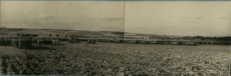 Фотография: По победному пути