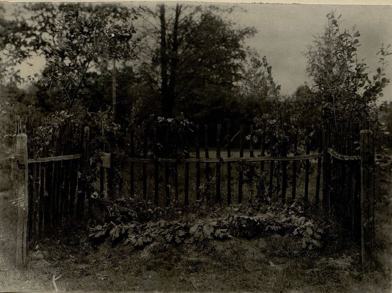 Image: The individual grave is located in the South-West 300 m. The village of Zhelty Brod, Mazyr village council, Starobinsky district, Bobruisk region.