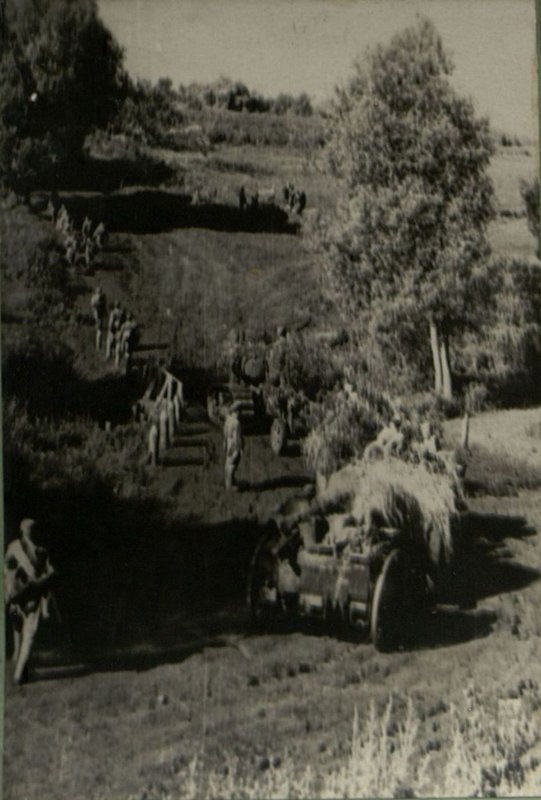 Image: Artillerymen near the town of Kroma