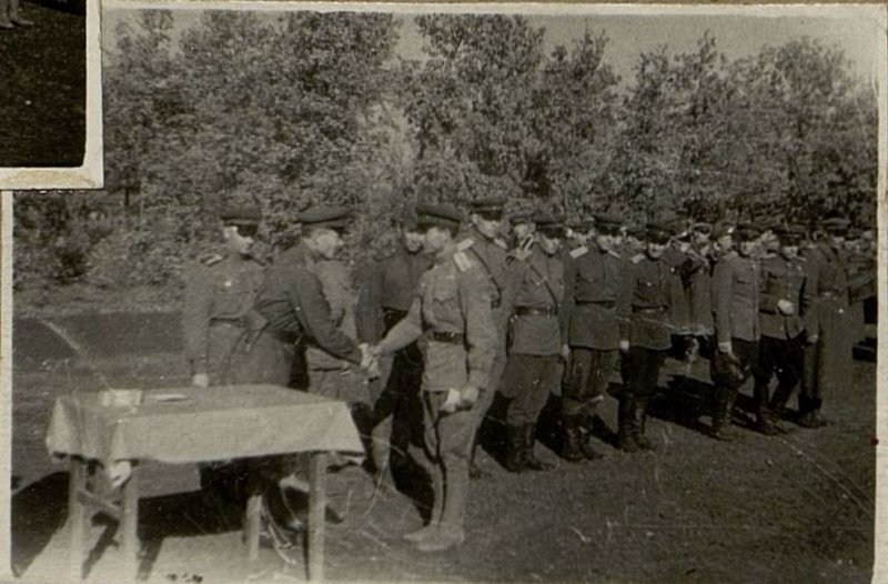 Фотография: Вручение наград