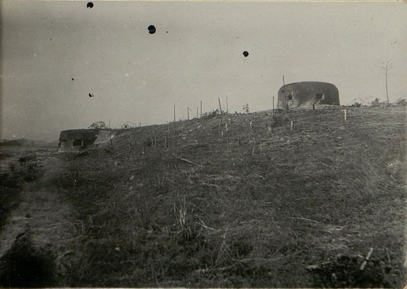 Фотография: Общий вид ДОТ № 717