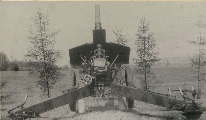Image: Gun no. 2981