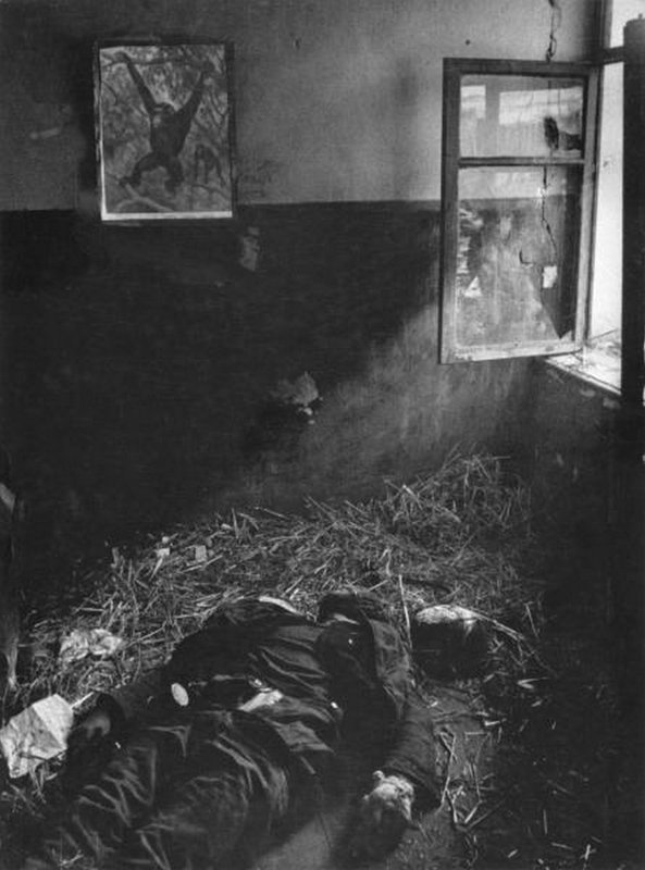 In village school. 1943