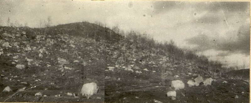 Image: Checkpoint of the 28th guards rifle regiment at the "Shpil