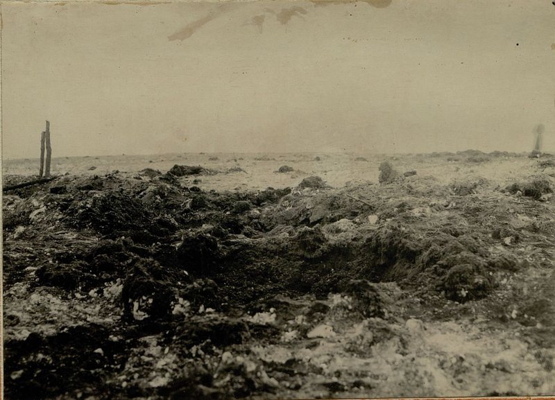 Фотография: Район огневой позиции. 82 мм. минометов после огневого налета 76 мм. и 122 мм. орудий