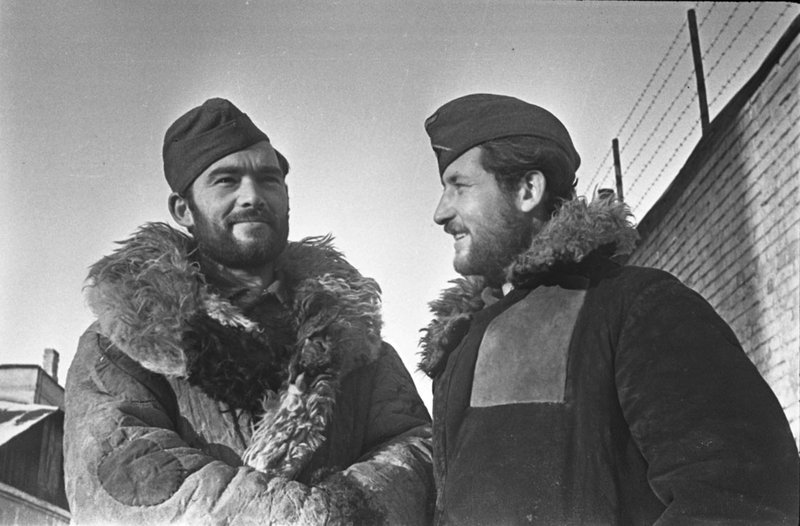Без названия