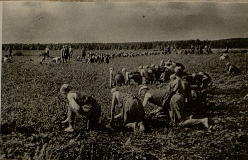 Image: Carrying out works on the subsidiary farm