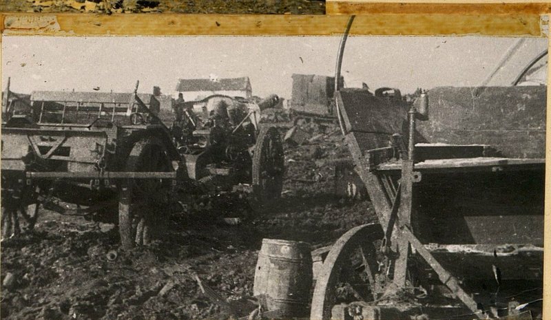 Фотография: Наши трофеи