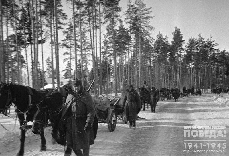 Horse artillery on the march