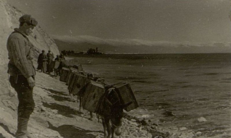 Image: From the coast to the front line went the so-called "all-terrain vehicles" of "Malaya Zemlya", delivering ammunition, equipment, food