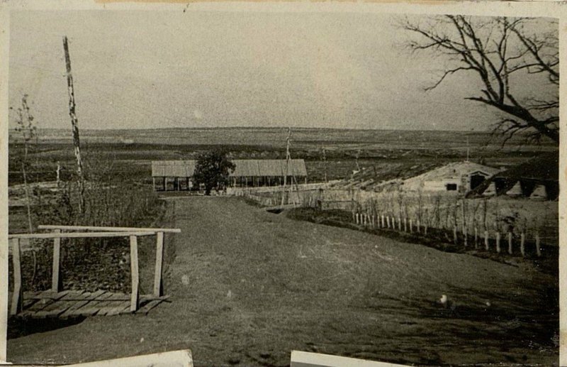 Фотография: Подсобное хозяйство
