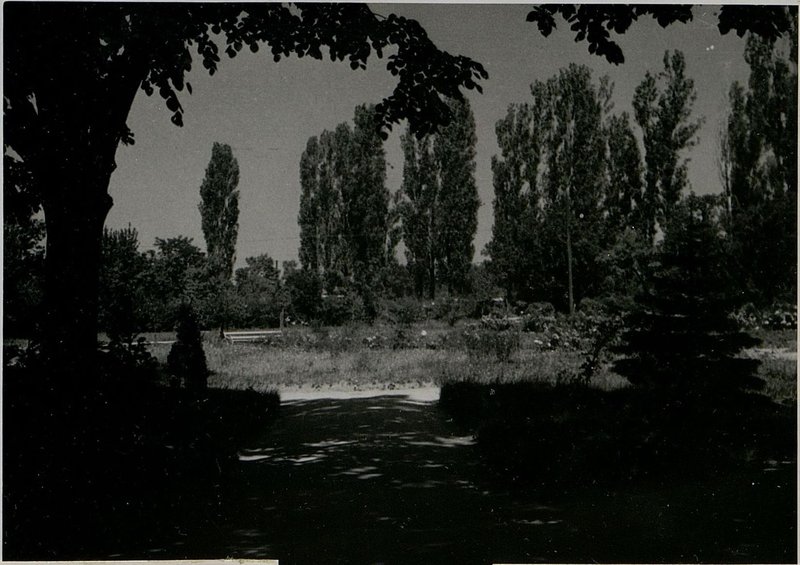 Фотография: Летний дом Красной армии, г. София