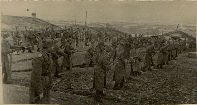 Фотография: На политзанятиях
