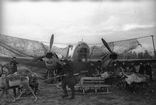 Олени подвозят авиабомбы к самолету Пе-2