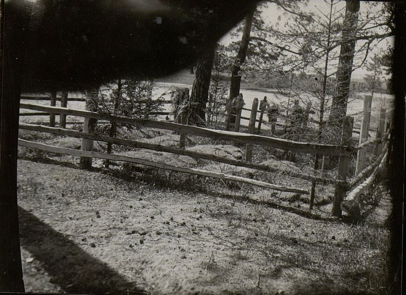 Фотография: Воинское кладбище, август 1945 г., д. Руденка, Старо-Руднянского сельсовета, Жлобинского района