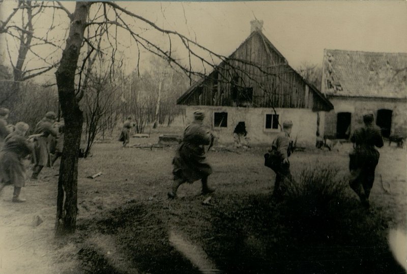 Фотография: В логове зверя