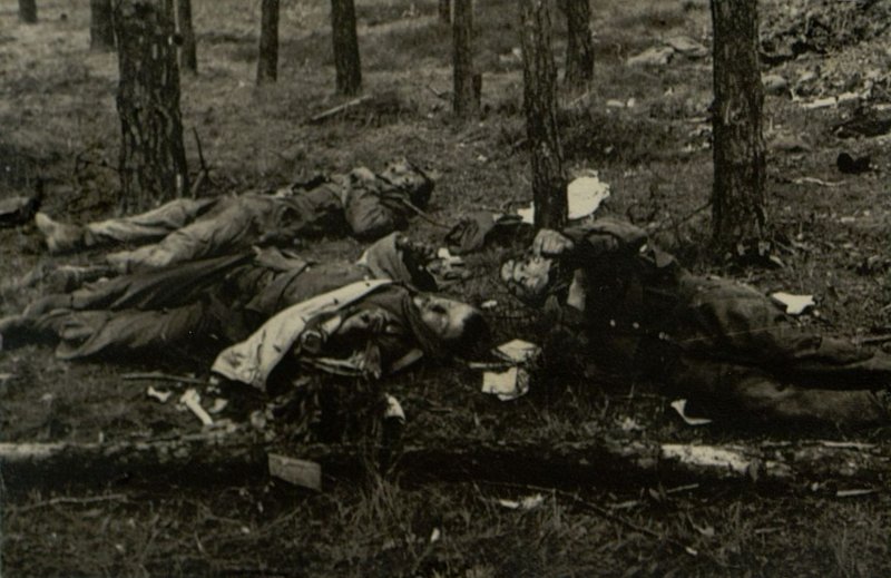 Фотография: Разгром группы немецких войск юго-восточнее г. Берлина. На полях битвы - тысячи вражеских трупов и разбитая немецкая техника