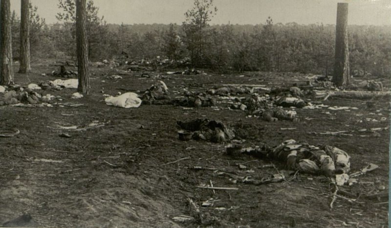 Фотография: Разгром группы немецких войск юго-восточнее г. Берлина. На полях битвы - тысячи вражеских трупов и разбитая немецкая техника