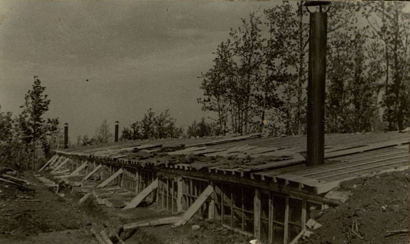 Фотография: Подсобное хозяйство