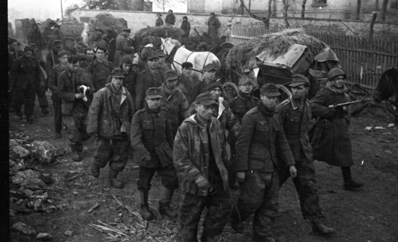 «В захваченном Глогау, колонна пленных немцев.»