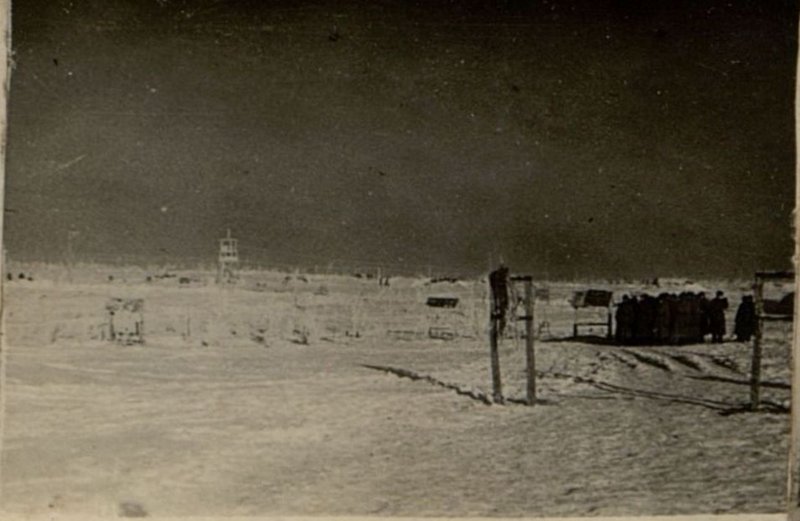 Фотография: Общий вид стрельбища