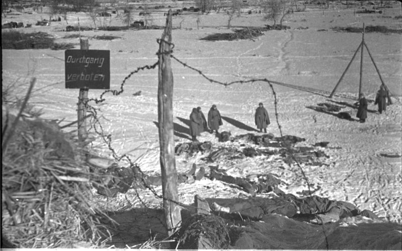 In the liberated Nazi POW camp (Stalingrad region)
