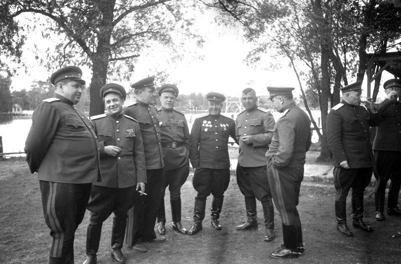Без названия