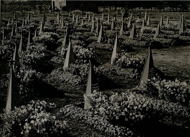 Фотография: Воинское кладбище в г. Банки