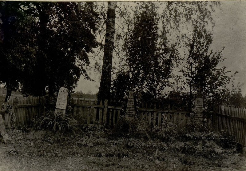 Image: The mass grave is located in the south-eastern outskirts of the village of Dolgoe. Starobinsky district, Bobruisk region