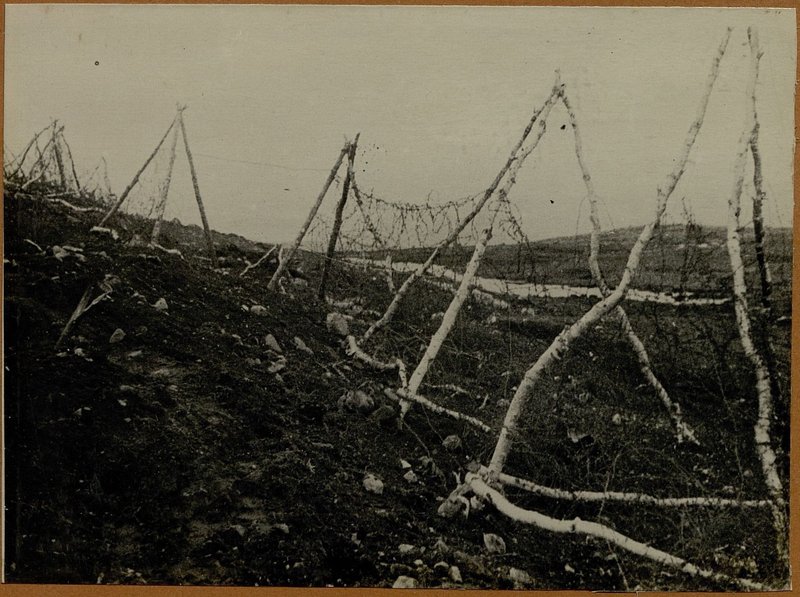 Фотография: Лапландский забор