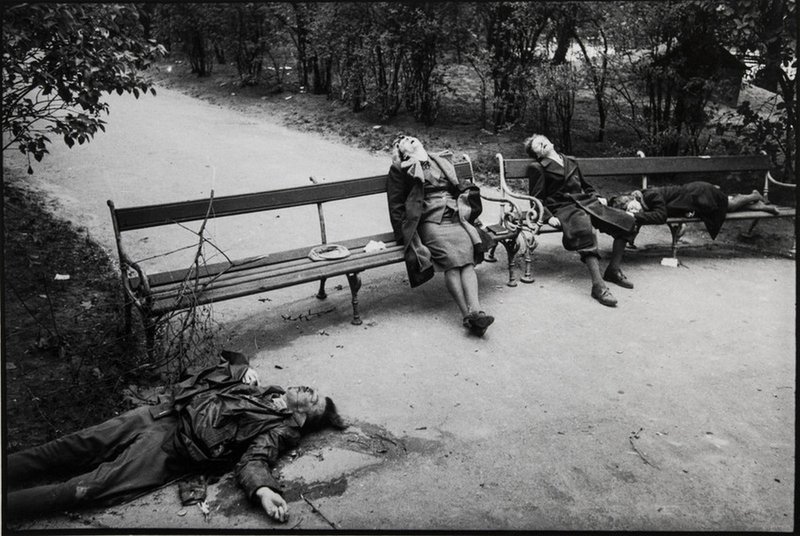 A suicide Nazi and his family