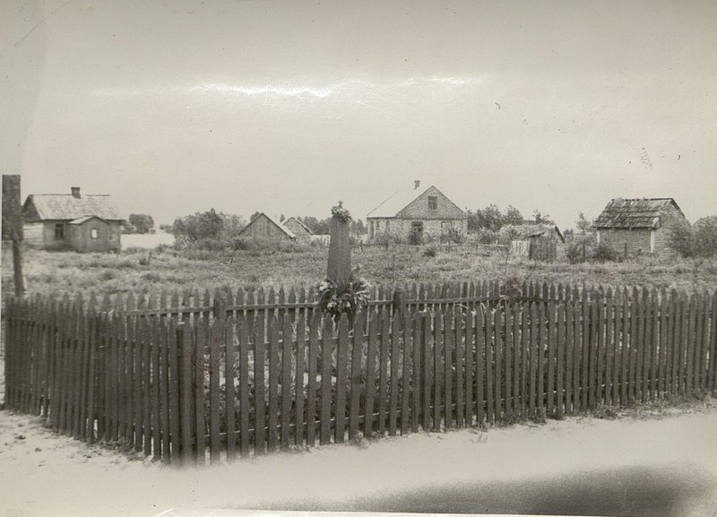 Фотография: Братская могила расположена у д. Волчино, Высоковского района