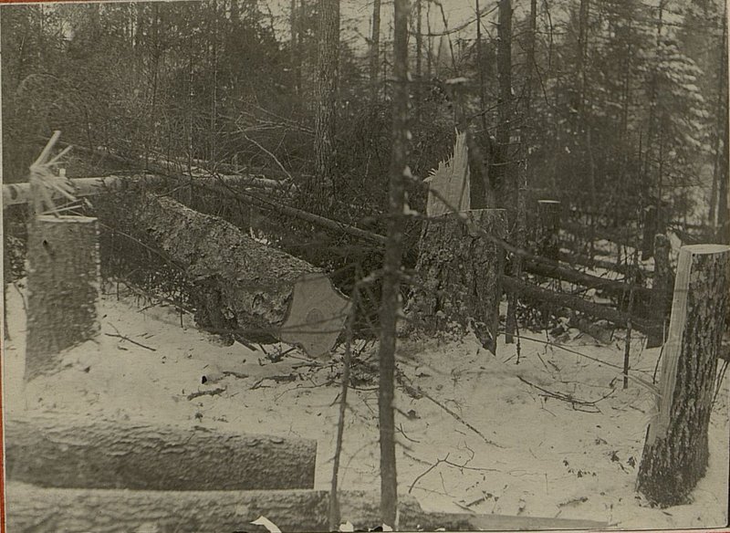 Фотография: Устройство лесных завалов II инженерной ротой 14.XII.1941 г.
