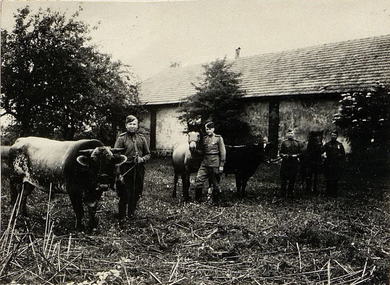 Фотография: История 9 головного авиасклада