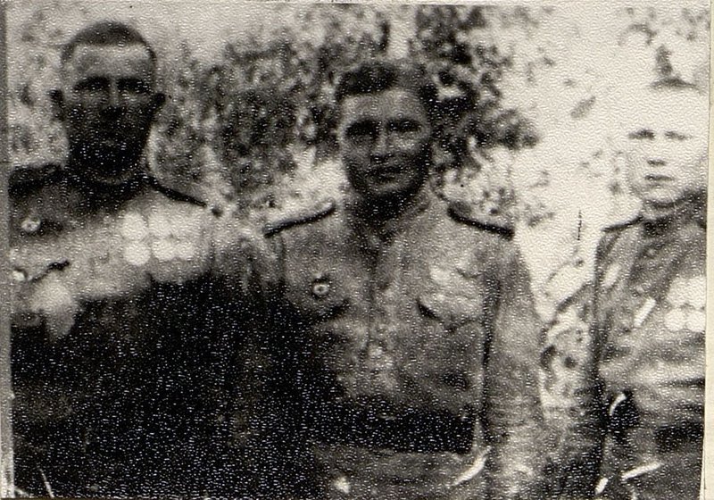 Фотография: Братья Воронины: Александр, Андрей и Константин