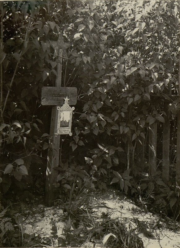 Image: The grave is located in the garden near the alley, under an apple tree 650 m from the western outskirts - the orchard of the state farm "Zavolochitsa", Glussky district, Bobruisk region.