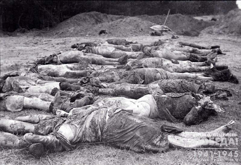 Corpses of civilians shot by the German occupiers in the area of the Danzig shipyard
