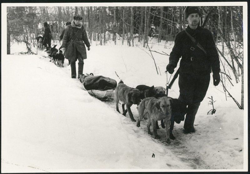 Carrying the wounded out from the front line