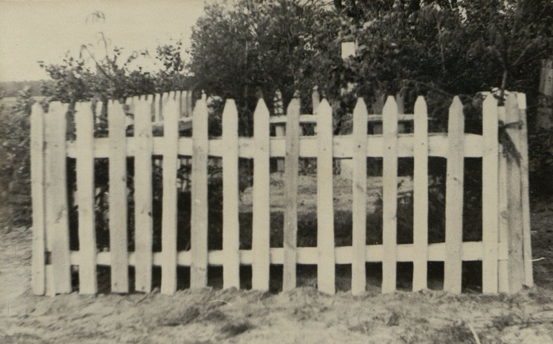 Image: War burial, Grodno region, Zelvensky district, Kostrovichi village council, cemetery of the village of Goli