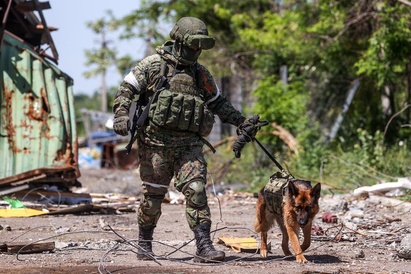 Военнослужащий Народной милиции ДНР и служебная собака