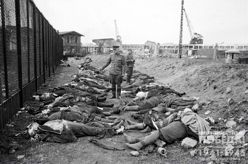Corpses of civilians executed in the forest near the Treblinka concentration camp