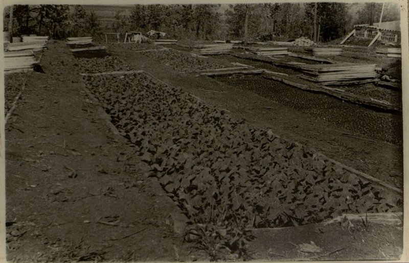 Фотография: Подсобное хозяйство